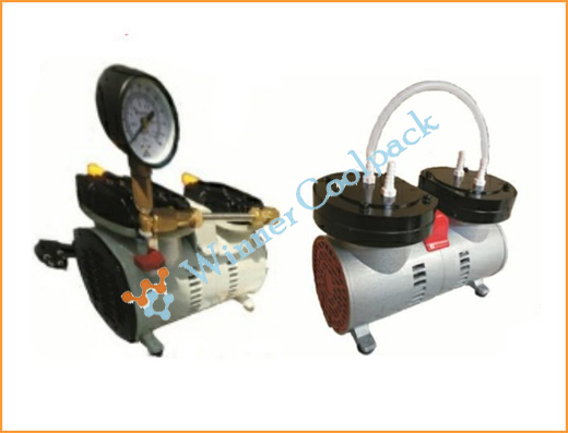 Roots Vacuum Pump