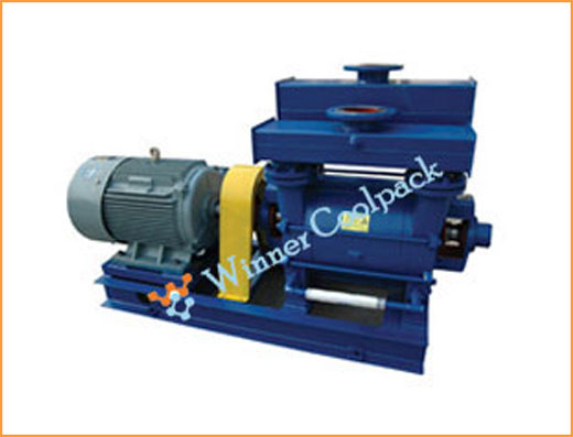 Liquid Ring Vacuum Pump