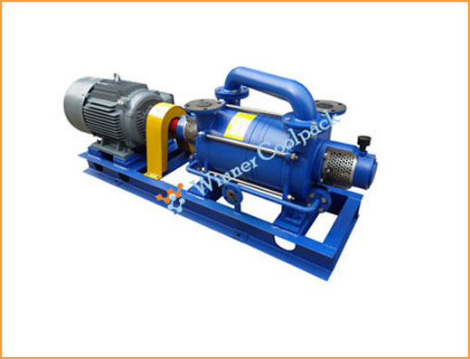 Liquid Ring Vacuum Pump 2wsk Series