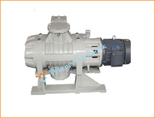 Roots Vacuum Pump